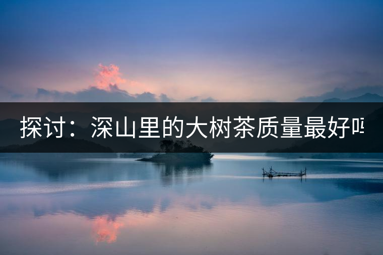 探討：深山里的大樹茶質(zhì)量最好嗎？