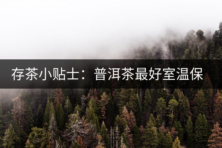 存茶小貼士:普洱茶最好室溫保存 存茶小貼士:普洱茶最好室溫保存