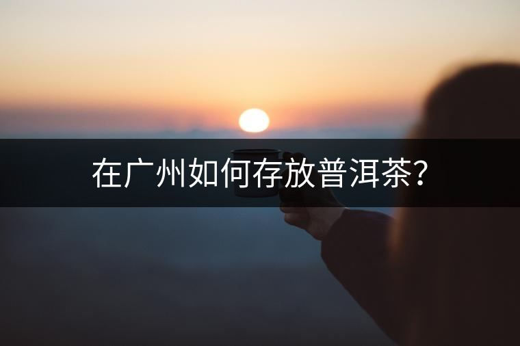 在廣州如何存放普洱茶？