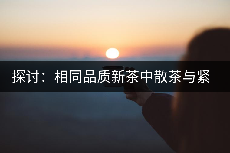 探討：相同品質(zhì)新茶中散茶與緊壓茶哪個(gè)好？