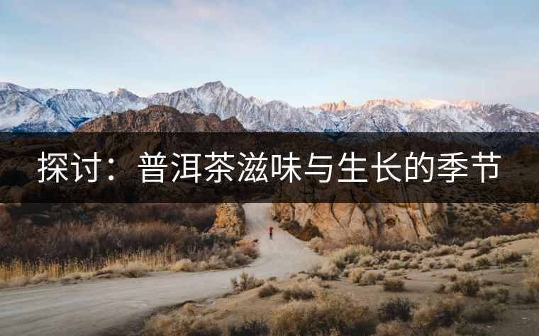 探討：普洱茶滋味與生長的季節(jié)