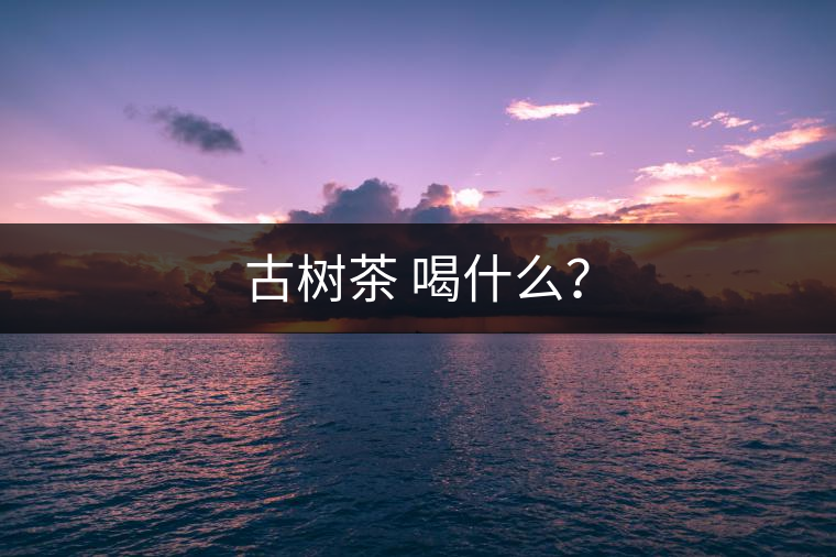 古樹茶 喝什么？