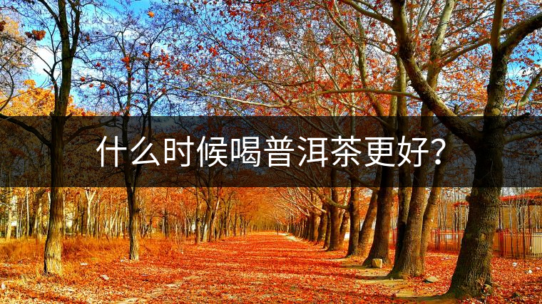 什么時(shí)候喝普洱茶更好？