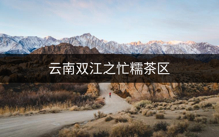 云南雙江之忙糯茶區(qū)