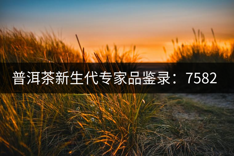 普洱茶新生代專家品鑒錄：7582青餅