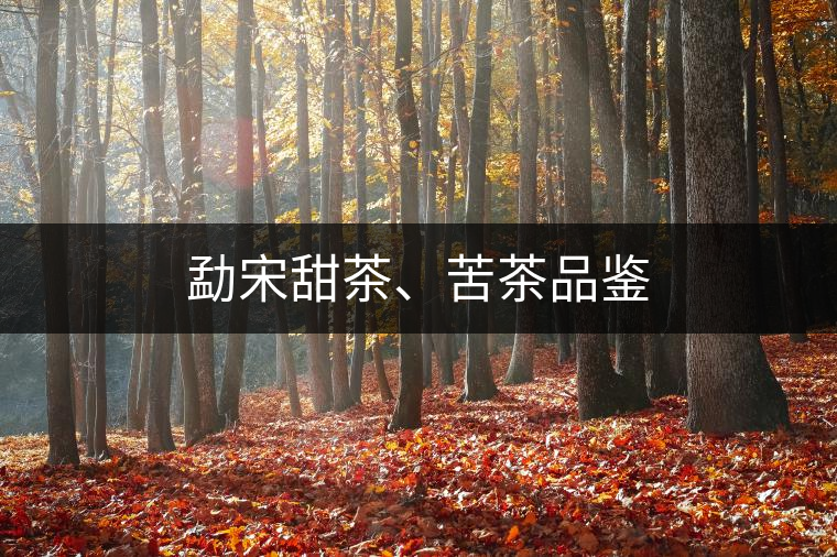 勐宋甜茶、苦茶品鑒