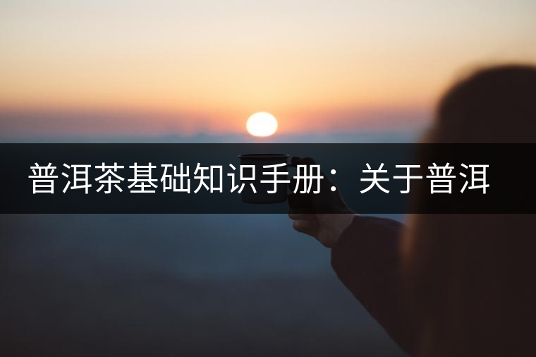 普洱茶基礎(chǔ)知識手冊：關(guān)于普洱茶的“六辨”