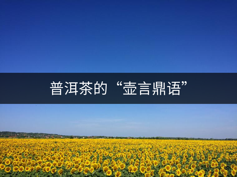 普洱茶的“壺言鼎語”