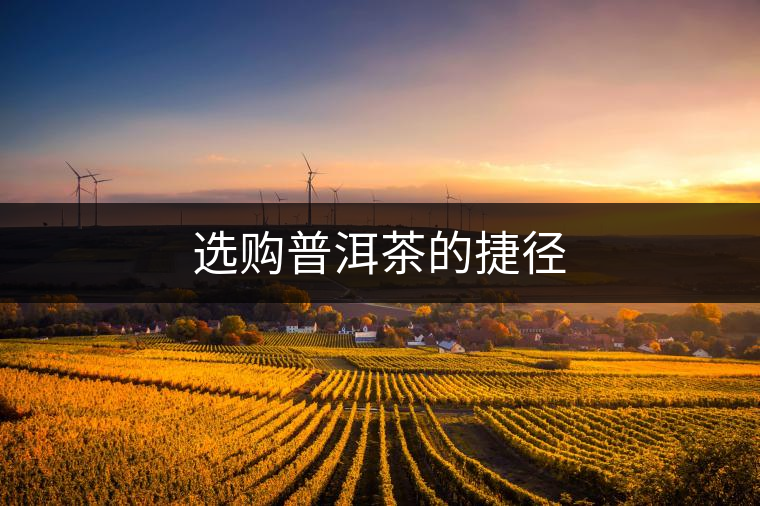 選購(gòu)普洱茶的捷徑