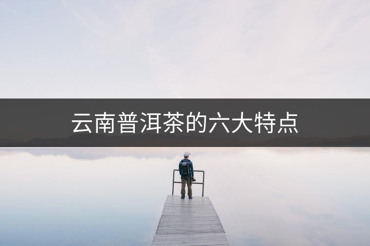 云南普洱茶的六大特點(diǎn)