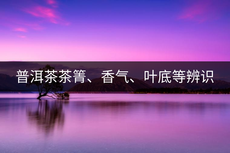 普洱茶茶箐、香氣、葉底等辨識(shí)