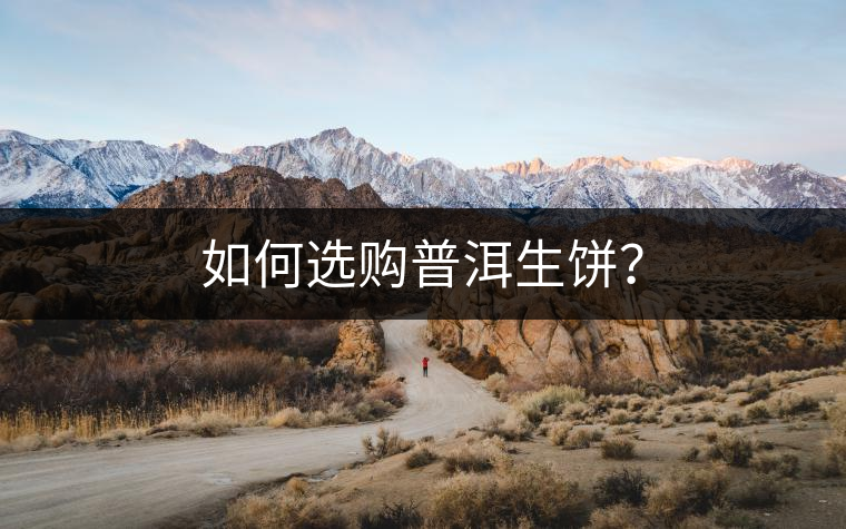 如何選購普洱生餅？