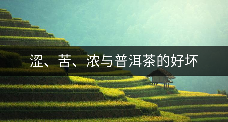 澀、苦、濃與普洱茶的好壞