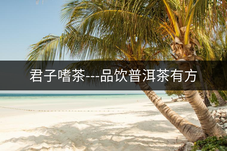 君子嗜茶---品飲普洱茶有方 君子嗜茶---品飲普洱茶有方
