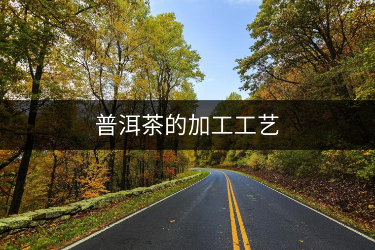 普洱茶的加工工藝