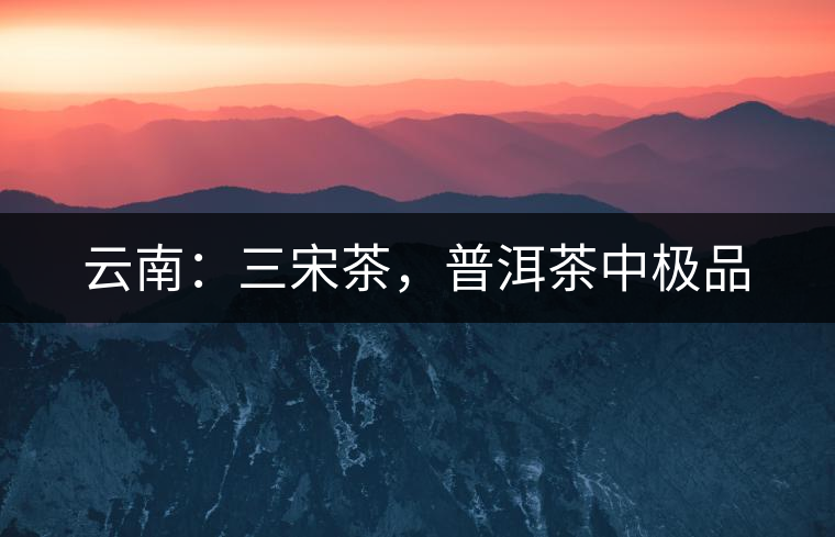 云南：三宋茶，普洱茶中極品