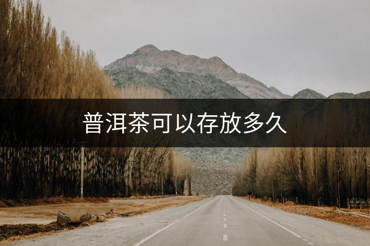 普洱茶可以存放多久
