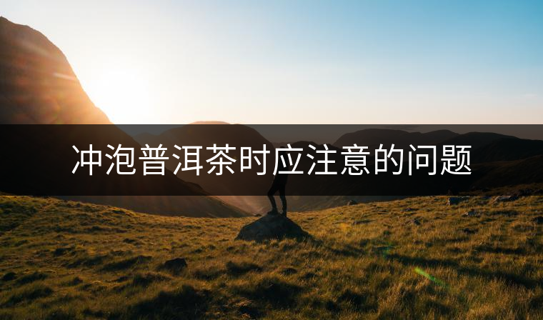 沖泡普洱茶時應注意的問題