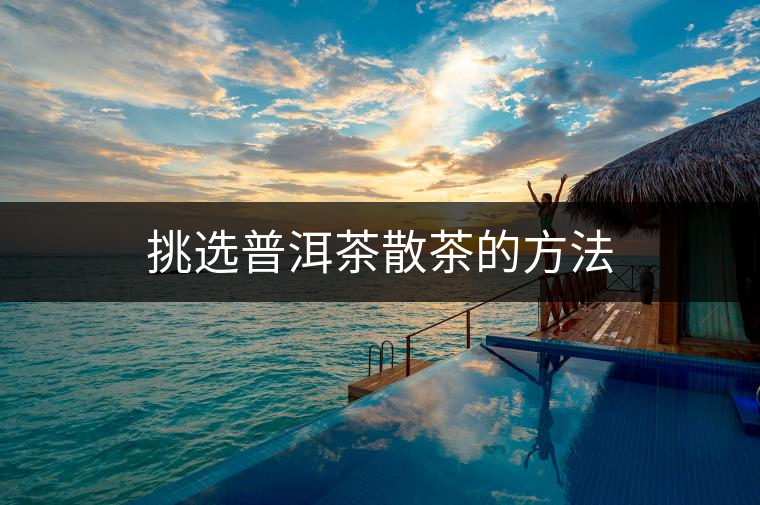 挑選普洱茶散茶的方法