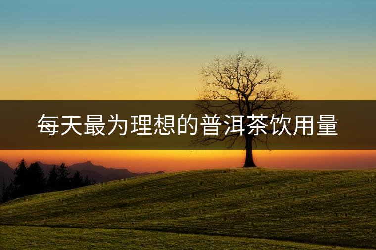 每天最為理想的普洱茶飲用量