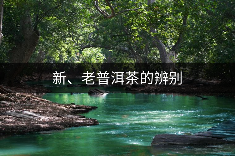 新、老普洱茶的辨別