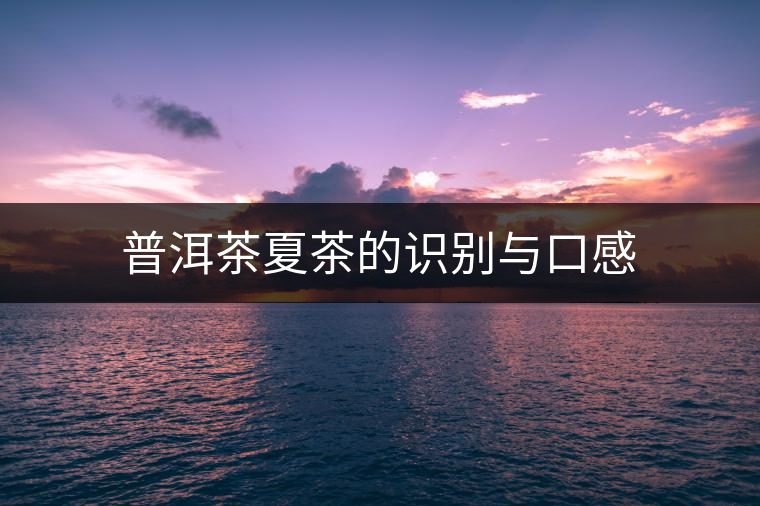 普洱茶夏茶的識別與口感