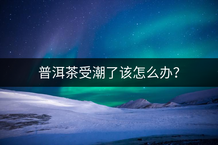 普洱茶受潮了該怎么辦？