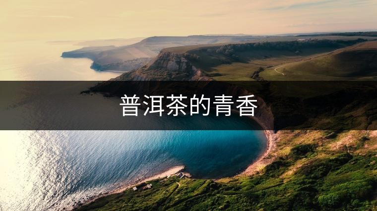 普洱茶的青香