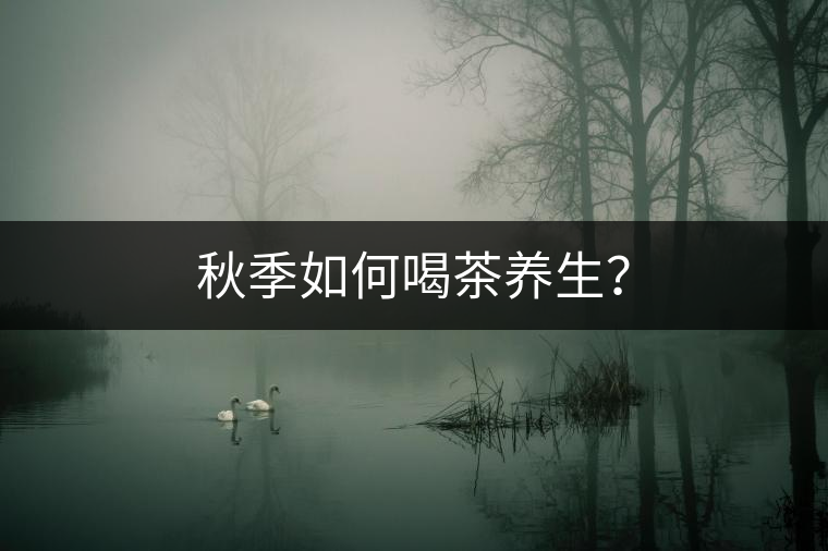 秋季如何喝茶養(yǎng)生？