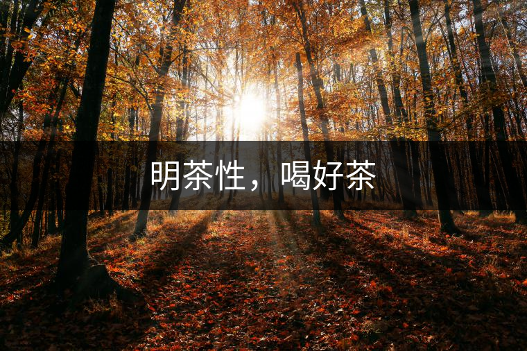 明茶性，喝好茶