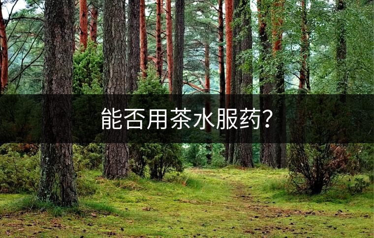 能否用茶水服藥？
