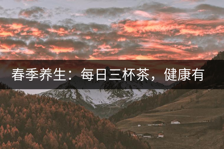 春季養(yǎng)生：每日三杯茶，健康有保障