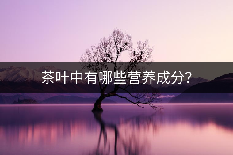 茶葉中有哪些營養(yǎng)成分？