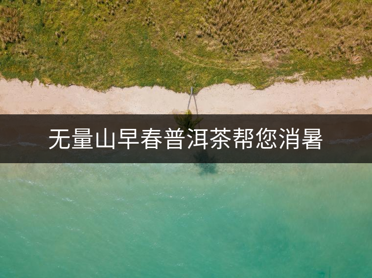 無量山早春普洱茶幫您消暑 無量山早春普洱茶幫您消暑