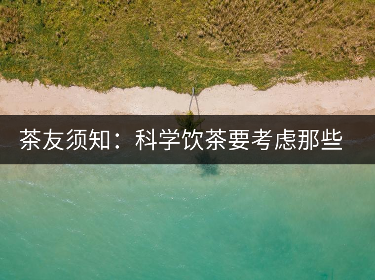 茶友須知：科學飲茶要考慮那些因素？