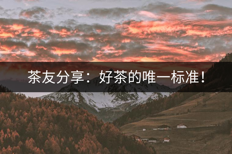 茶友分享：好茶的唯一標(biāo)準(zhǔn)！