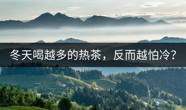 冬天喝越多的熱茶，反而越怕冷？