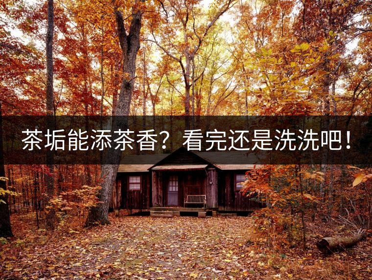 茶垢能添茶香？看完還是洗洗吧！