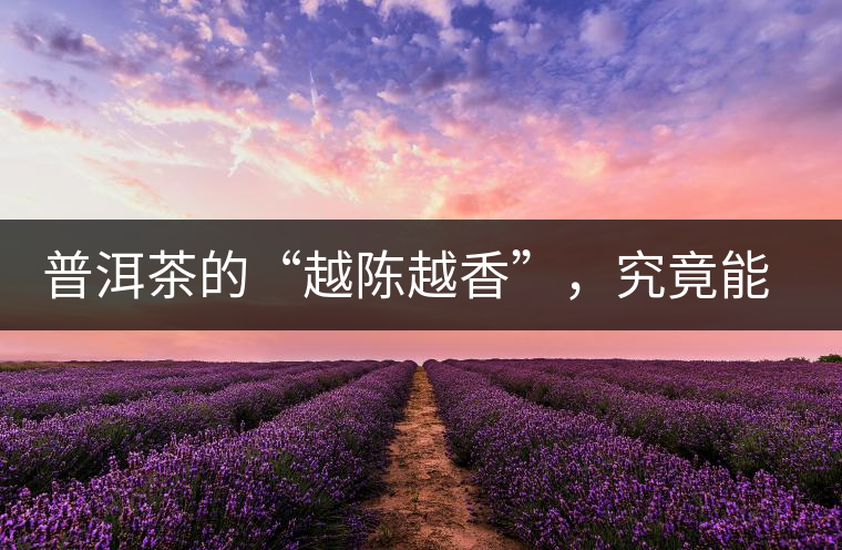 普洱茶的“越陳越香”，究竟能“陳”多久