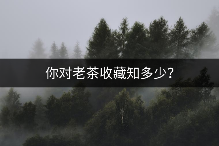 你對老茶收藏知多少？