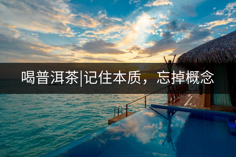 喝普洱茶|記住本質，忘掉概念