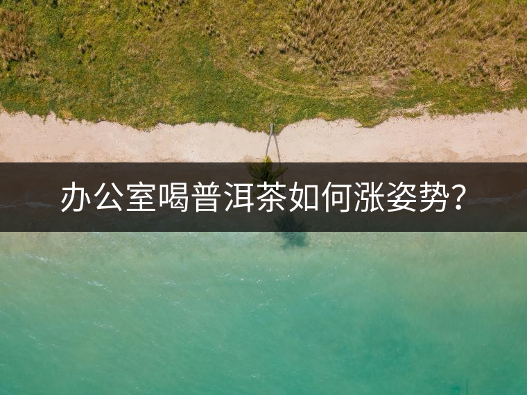 辦公室喝普洱茶如何漲姿勢(shì)？