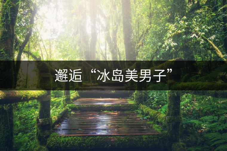 邂逅“冰島美男子” 邂逅“冰島美男子”