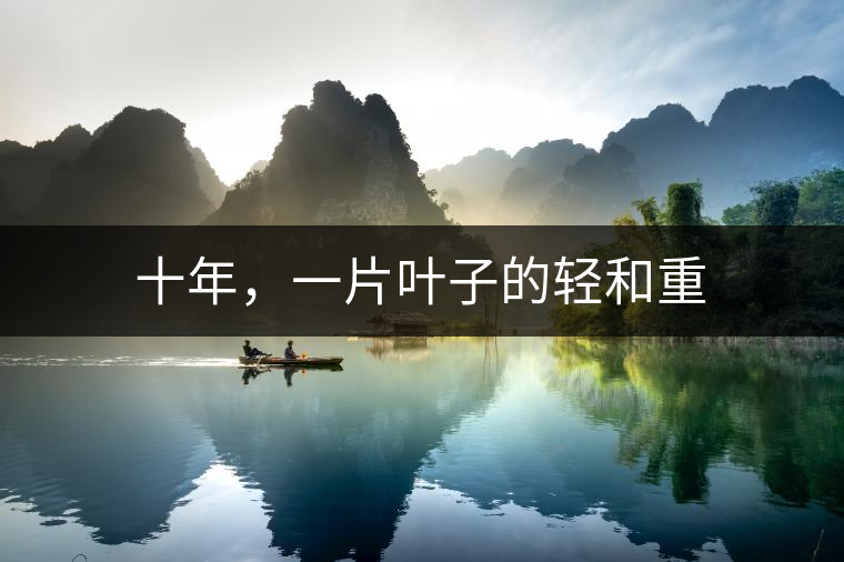 十年，一片葉子的輕和重