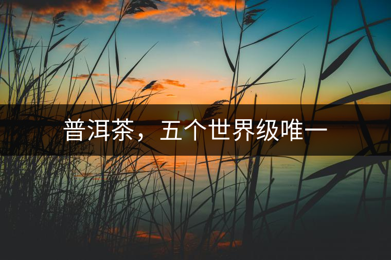 普洱茶，五個世界級唯一