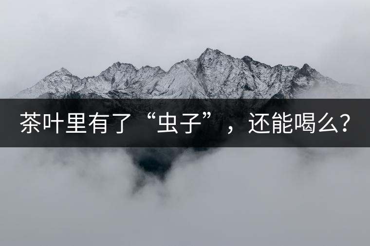 茶葉里有了“蟲子”，還能喝么？