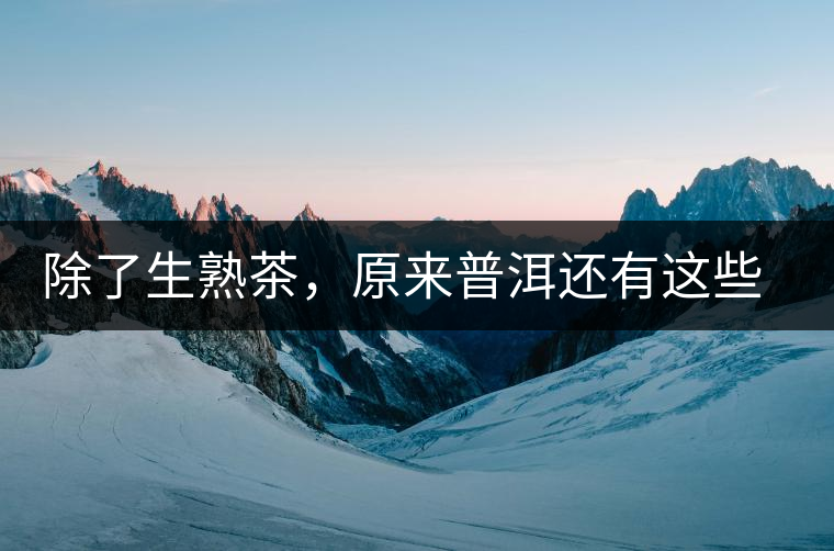 除了生熟茶，原來(lái)普洱還有這些鮮為人知的“寶貝”！