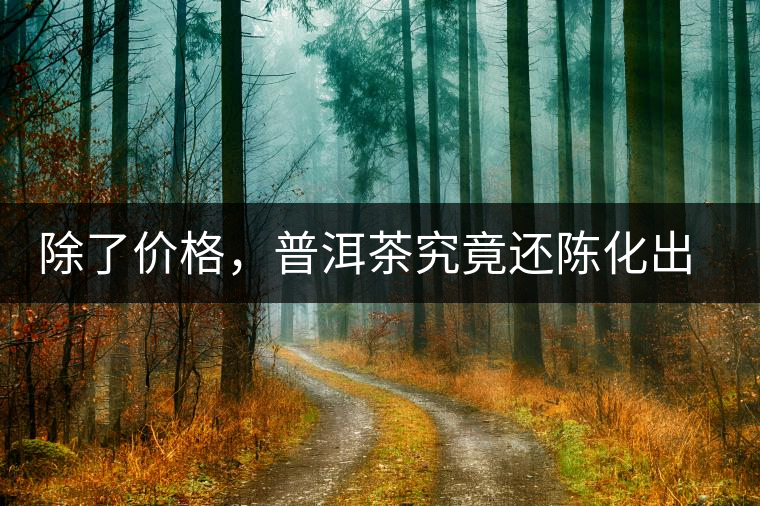 除了價(jià)格，普洱茶究竟還陳化出了啥？