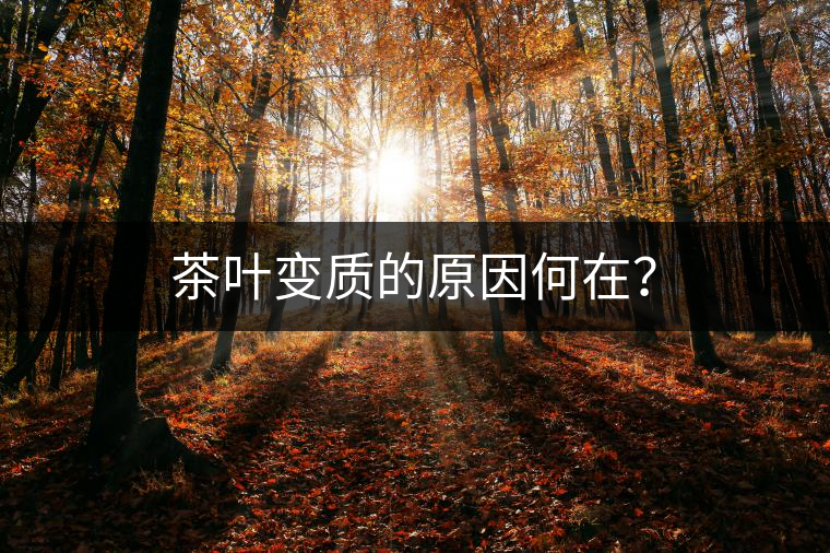 茶葉變質(zhì)的原因何在？