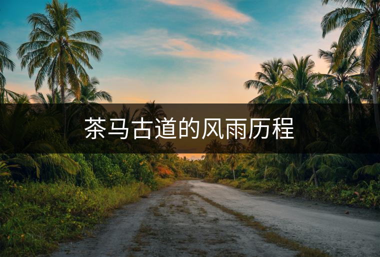茶馬古道的風雨歷程 茶馬古道的風雨歷程